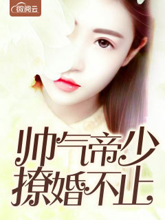 ˧�������û鲻ֹ��ĺ�������