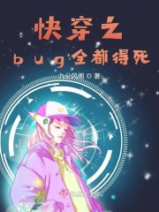 촩֮bugȫ